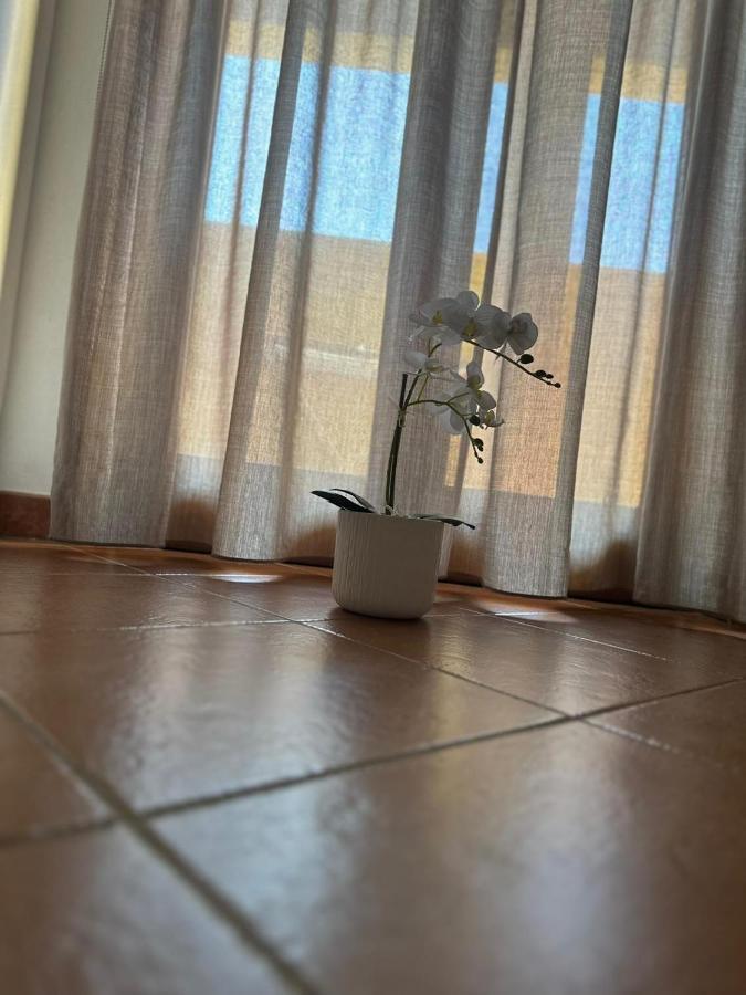 Villa Attico di Jacopo Polignano a Mare Esterno foto