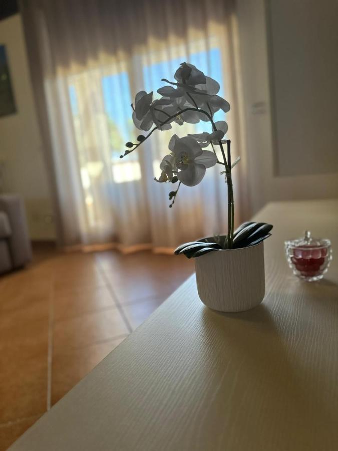 Villa Attico di Jacopo Polignano a Mare Esterno foto